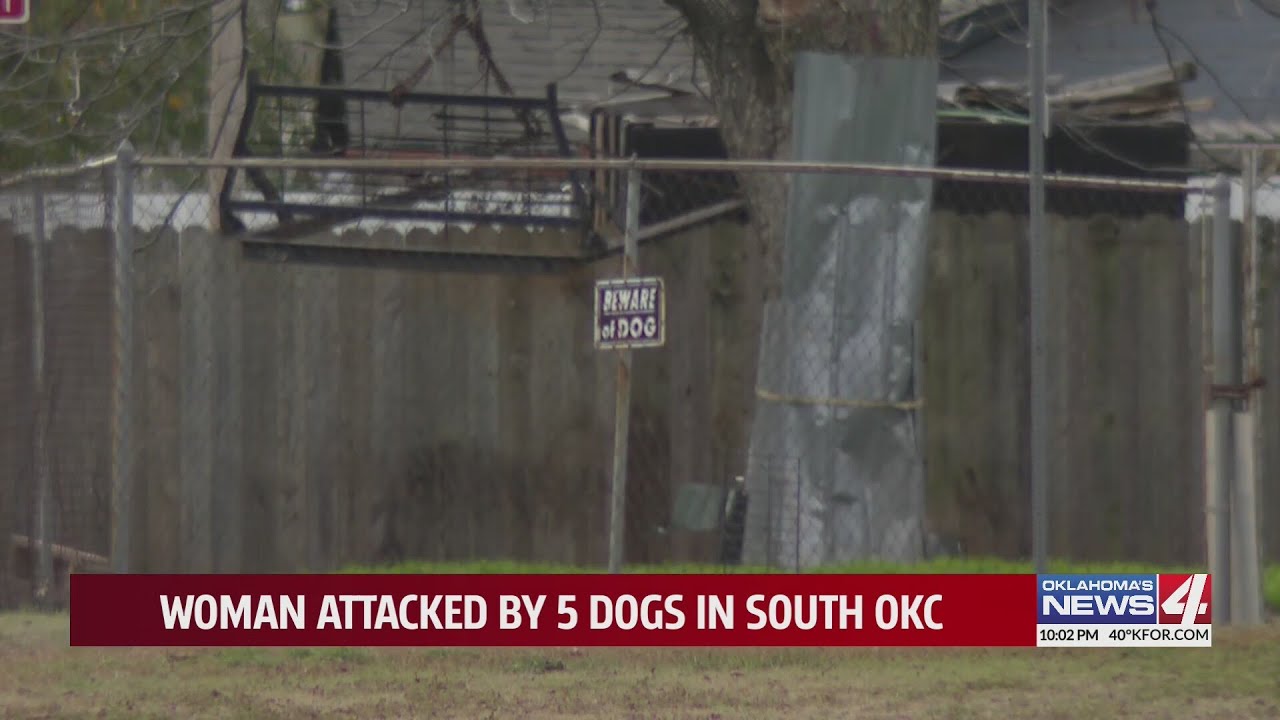 Woman attacked by five dogs in south OKC - YouTube