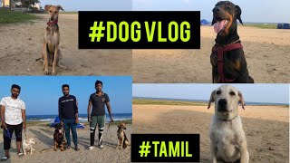 Dog V-LOG (meet up) | TAMIL | RAGUL RAM by Ragul Ram 4,454 views 3 years ago 6 minutes, 42 seconds