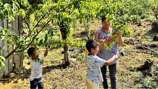 Mis nietos me visitan en el ranchito, les cocino y los llevo a conocer las bondades del bosque