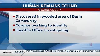 Human remains found in wooded area in George Co., sheriff’s office says