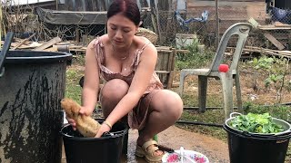 Maivkawm น้องเน มื้อนี้ได้ผักกาดงามงามมาเดีมากินข้าวนำกัน