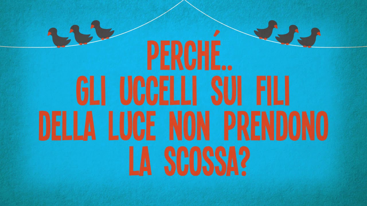 Perchè Gli Uccelli Non Prendono La Scossa