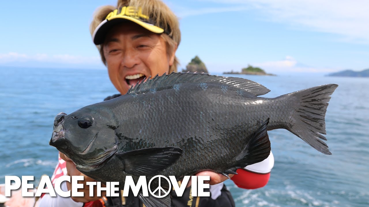PEACE THE MOVIE #126「濁りに負けるな!初の田子でグレ狙い!!」東海地方・静岡県 西伊豆田子の旅/平和卓也（1448）