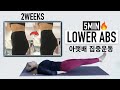 5 min lower abs workout