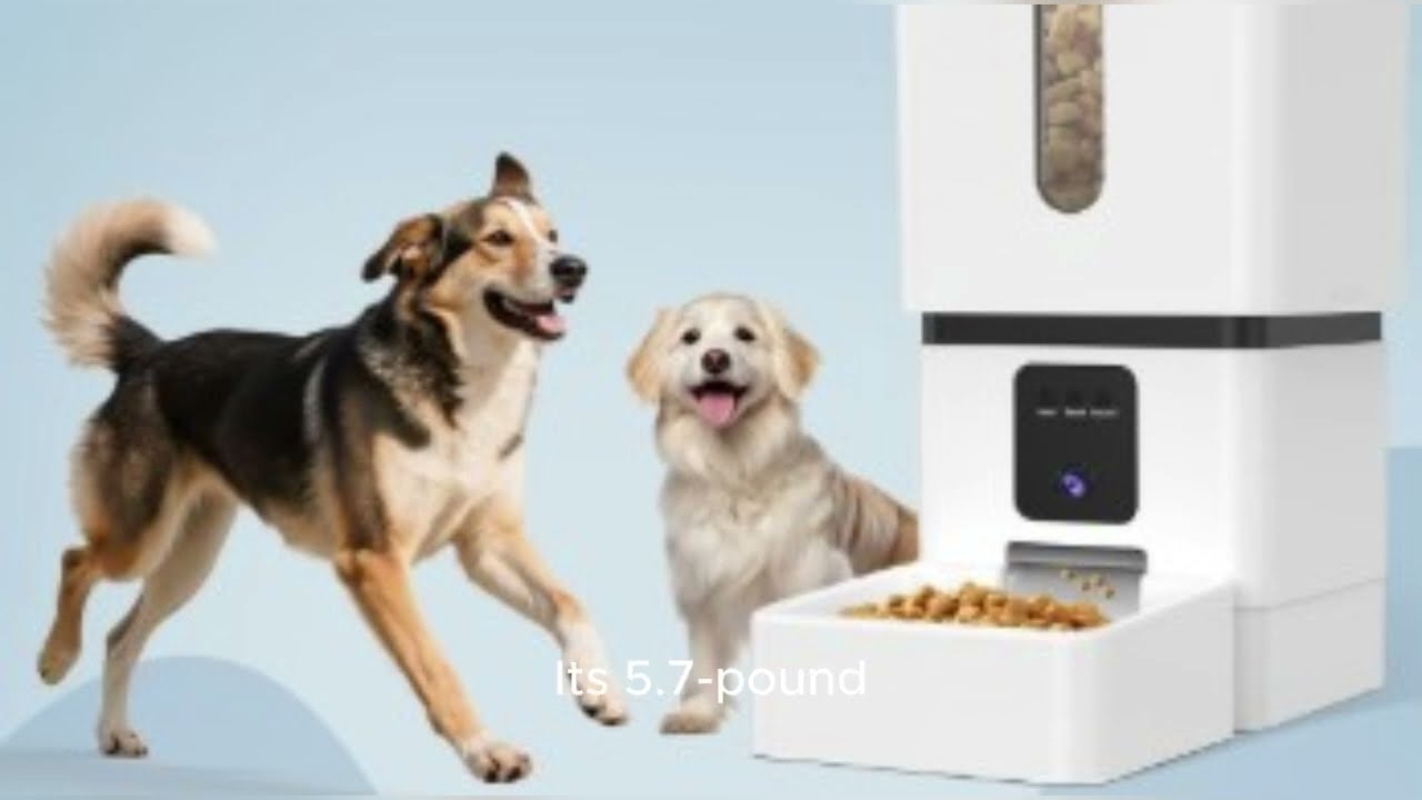 How Yarky Automatic Dog Feeder Large Breed with Camera Model Q01 Works  