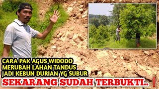 👉SUDAH TERBUKTI.. ❗|| CARA PAK AGUS WIDODO, MENANAM POHON DURIAN DI TANAH CADAS BERBATU💯✅