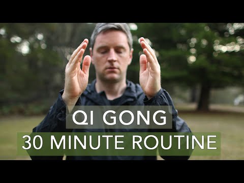 Qi Gong - Energy Cultivation Set (30 Minutes)