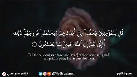 رسالة من الله ضرورة غض البصر للمؤمنين والمؤمنات سورة النور