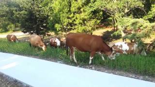 Ondokuz Mayıs Üniversitesi Sıradan Bir Gün :)