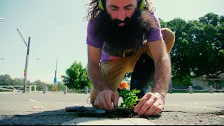 Down and Dirty - Costa- Marigold clip
