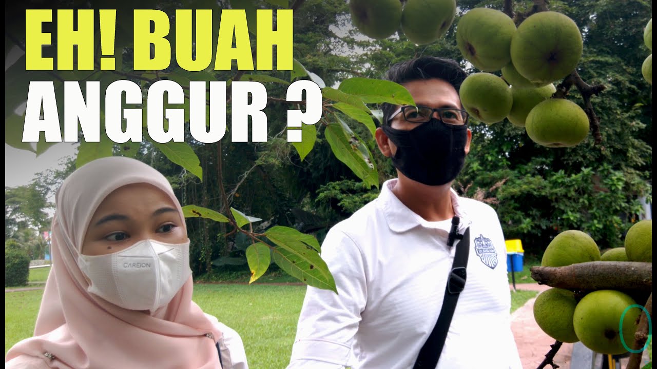 Sepetang  di Kuala Nerang Kedah Malaysia, aman damai & menarik disini.