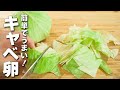 【キャベツレシピ】炒めるだけ!ふわふわ卵のキャベツの最強炒め!
