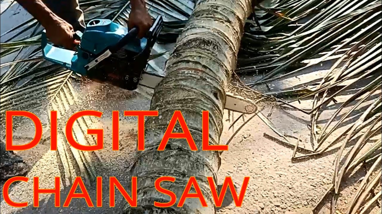 HOW TO CUT DOWN A TREE WITH A CHAINSAW. - YouTube
