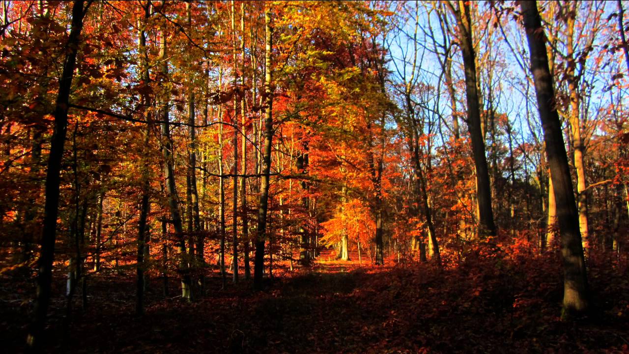 Trixcis – Winter’s Approach – Soft, Beautiful, and Quiet Instrumental Piano Music