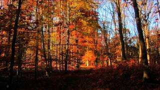 Trixcis – Winter’s Approach – Soft, Beautiful, and Quiet Instrumental Piano Music screenshot 5