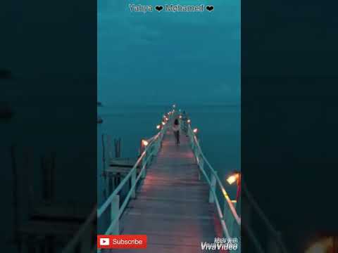 حاله وتس اه منك يا خالي بتمشي في خيالي