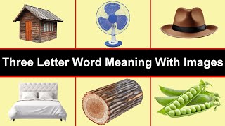 Tree Letter Word Meaning Width Images | Easy to Learn Kids Word Meaning | Three Letter Word Phonics