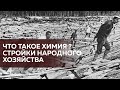 Что такое химия для зека? Стройки народного хозяйства #Монолог​​ бандита из 90х