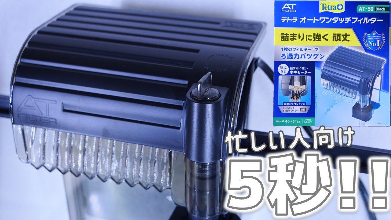 ファクトラ 5'5 初心者向け Amazon | ファイバースコープカメラ 5.5mm極細デュアルレンズ 5M