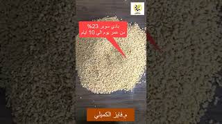 بادي سوبر ناعم 23% اعرف مميزاته وعيوبه للدواجن حصري م فايز الكميلي