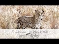 A Lesson in Patience - Masai Mara Wildlife Photography with Kids
