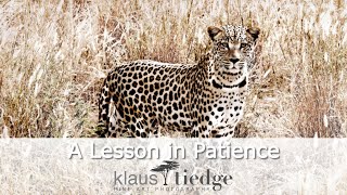 A Lesson in Patience - Masai Mara Wildlife Photography with Kids