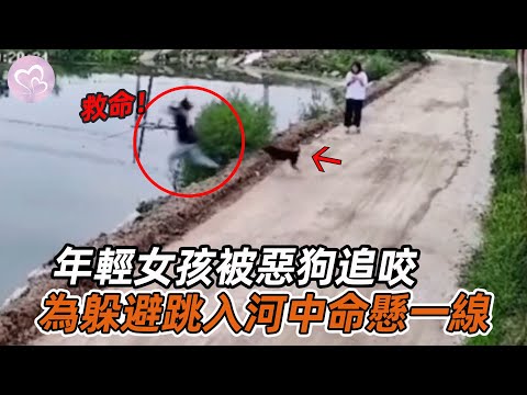 年輕女孩被惡狗追趕，跳入河水中命懸一線，陌生路人的做法讓人震驚！#暖心 #暖心故事 #正能量 #淚目 #生活 #溫暖 #社會新聞 #老人 #感動 #暖心時刻