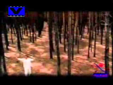 صعبان عليا عمرو دياب سمسم