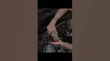 Bottle Explodes After 120 Years of Fermenting in the Ground