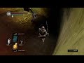 Dark Souls no death run #114