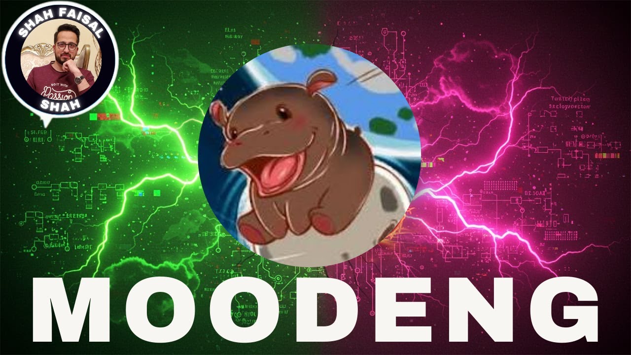 MOODENG Blasts Off — Is This the Next Big Crypto Sensation?