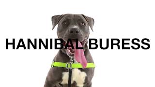 Adopt Hannibal Buress at NKLA