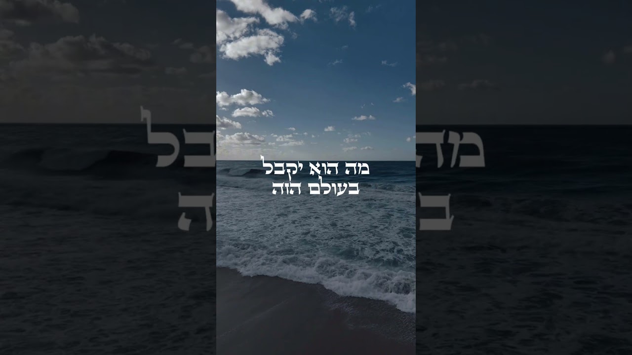 זו הברכה של החיים שלך #הרב_שניר_גואטה # #שלוםבית#שבת
