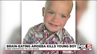 Nevada twoyearold boy killed by braineating amoeba