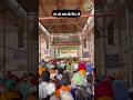 ਚੌਪਹਿਰਾ ਸਾਹਿਬ ਤੇ ਆਈਆਂ ਸੰਗਤਾਂ ਦੇ ਦਰਸ਼ਨ ਕਰੋ ਜੀ 🙇🏻🙏#babadeepsinghji #shortsfeed #shorts #trending