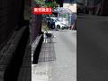 章末脱走③ #ハスキー #章末