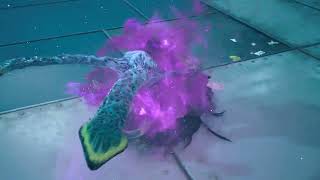 4 2024 09 20 14 00 27 Untitled MPEG 4