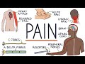 Understanding The Causes of Pain and Pain Management