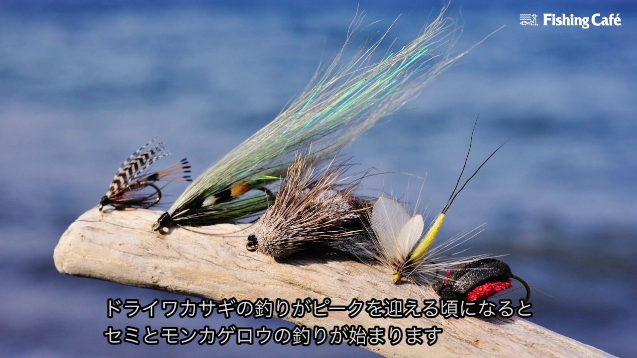 北海道釧路湿原を廻る 釣りと人の物語 湿原のカムイたち より 後編 Shimano Presents Fishing Cafe