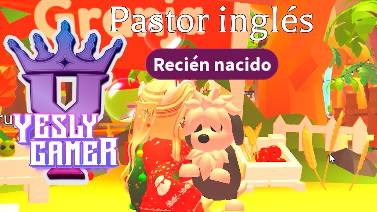 PERRO PASTOR INGLÉS - ADOPT ME - YESLY GAMER 