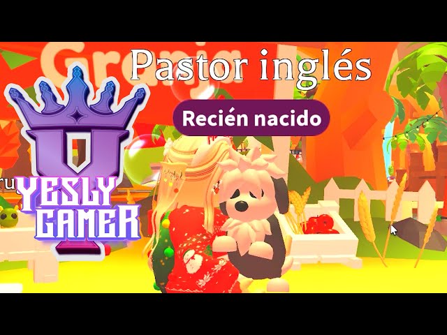 PERRO PASTOR INGLÉS - ADOPT ME - YESLY GAMER 