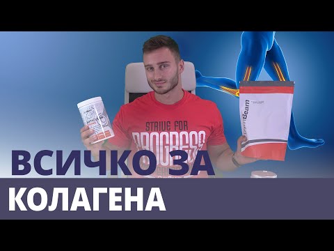 Колагенът и ползите от приема му за спортистите l GymBeam l Fitness Academy