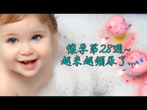 懷孕第28週~越來越頻尿了... 【我懷孕了】