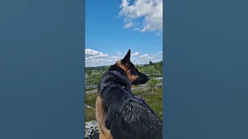 Inari Finland 
