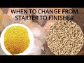 Broiler feeding guide(how long does chicken eat starter and finisher)