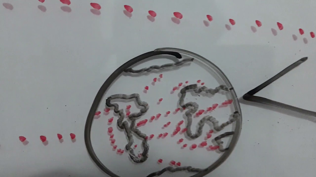 Protocolo P2P | Archivos Torrent | Como Funcionan 2021