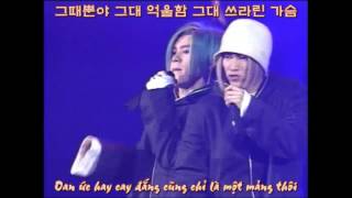 [Vietsub - Lyrics] H.O.T. - Monade 모나데 (Live @ Sejong Concert 1999)