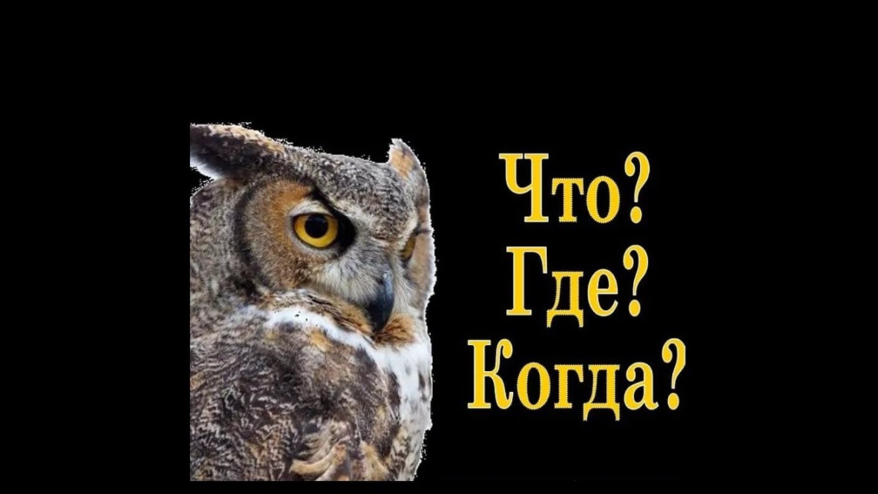 Заставка игры что где когда картинка