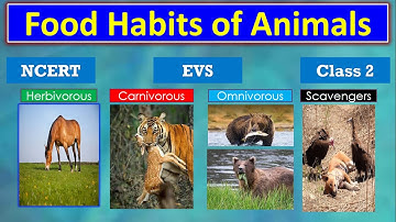 Food habits of Animals | EVS | Class 2 | Herbivorous, Carnivorous, Omnivorous, Scavengers