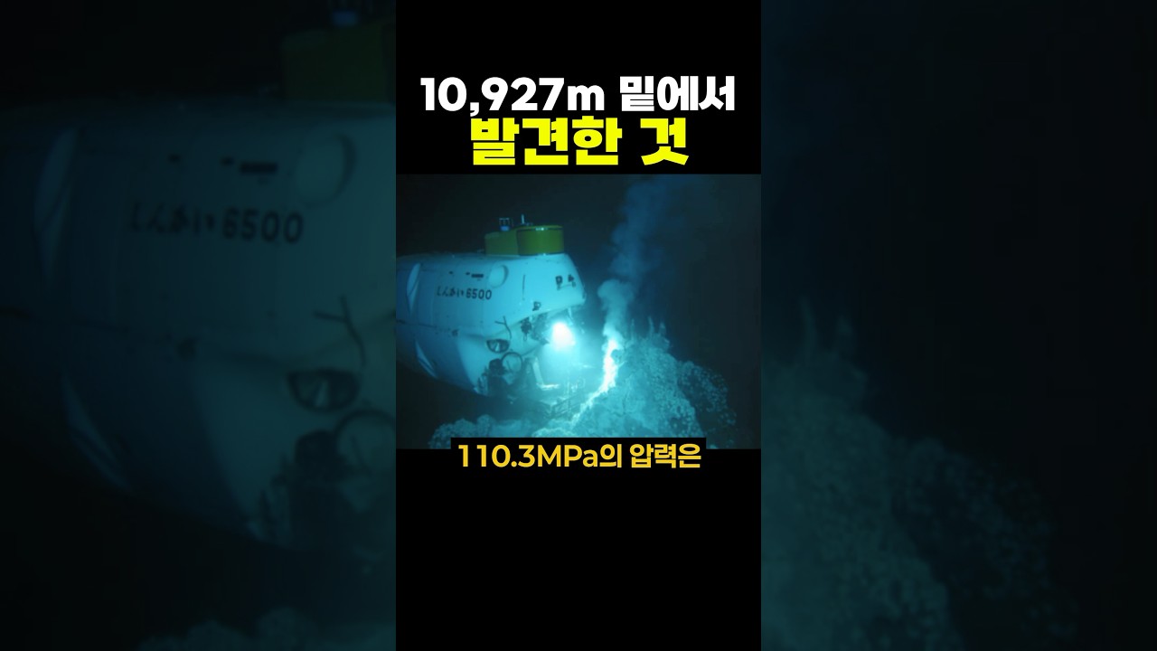 마리아나 해구 10,927m 밑에서 발견한 것ㄷㄷ